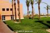 Campus El Gouna 0051